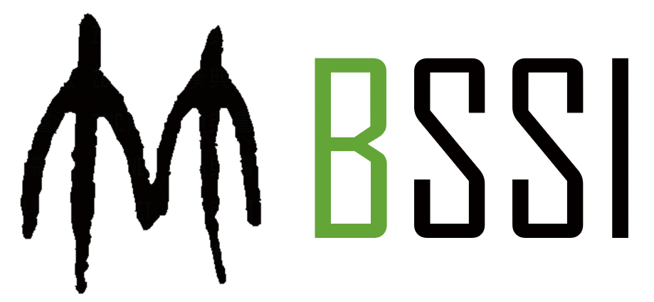 BSSI Logo