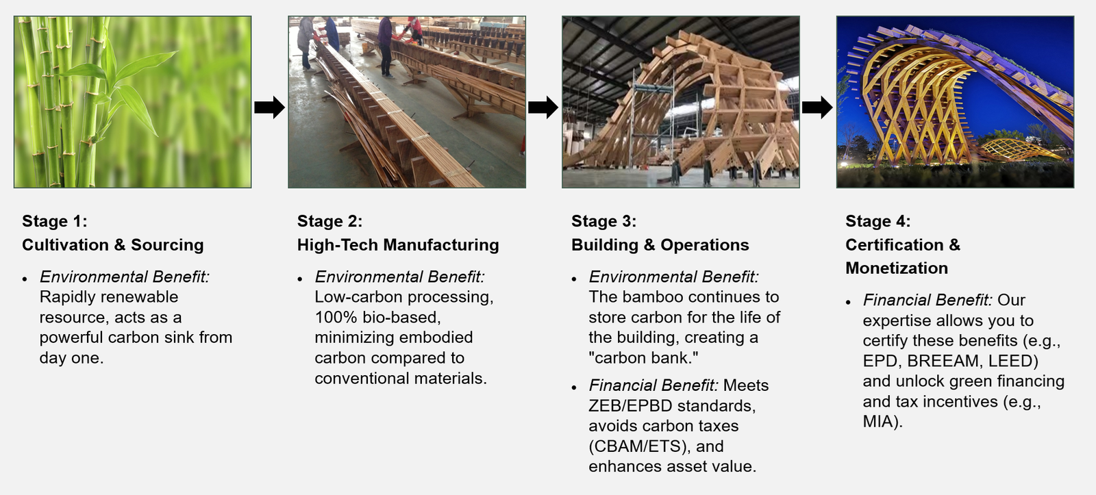 Bamboo Value Chain