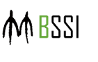 BSSI Logo